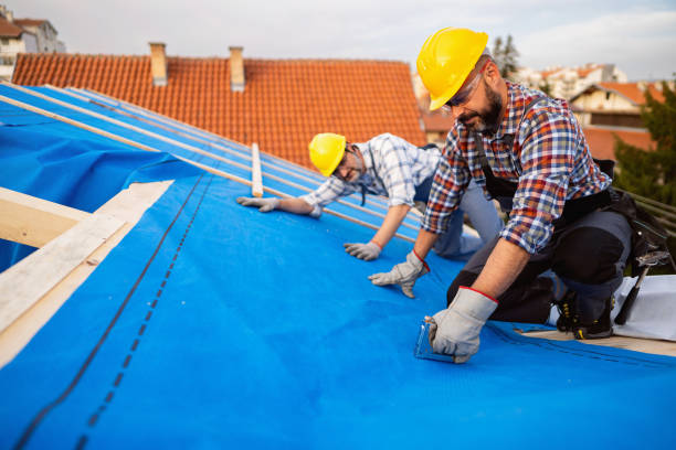 Best Metal Roofing Contractor  in Rockton, IL