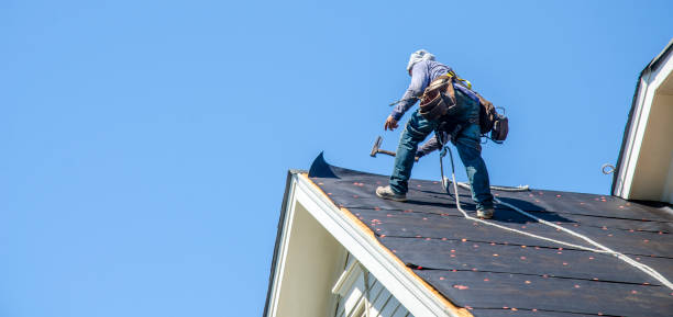 Best Roof Gutter Cleaning  in Rockton, IL